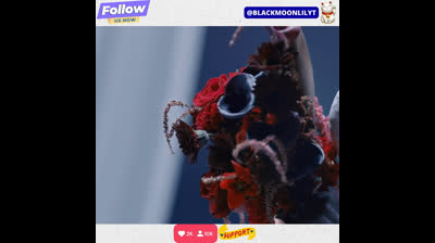 Regresa en el tiempo para vengarse de ellos de la mejor manera teaser