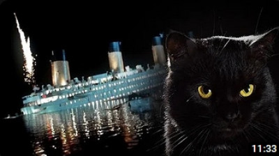 2 Casos para No Olvidar donde los Animales Estremecieron a la Humanidad │La Habitación Oscura