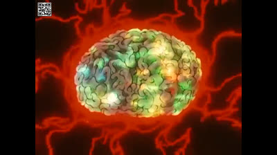 Los caballeros del Zodiaco .En español (castellano) cap 51 - Los afilados colmillos de leon de oro .