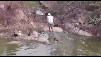 Un ciervo ataca a Frank Cuesta y casi le provoca la muerte